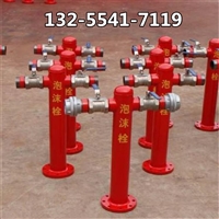 双出液口泡沫消火栓 地上式消防栓 配装泡沫喷射设备