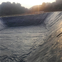 泸州养殖小龙虾防渗布 废水污水池防渗膜报价 鱼塘护坡防水防渗膜