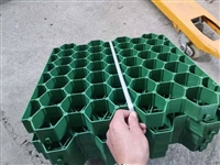 5公分草坪格加工厂家