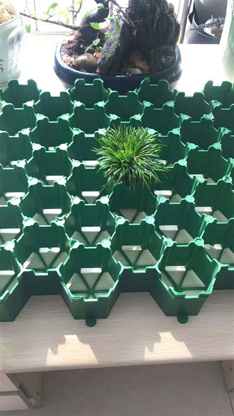 上海市塑料植草格厂家