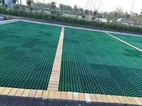 辽宁塑料植草格批发价格