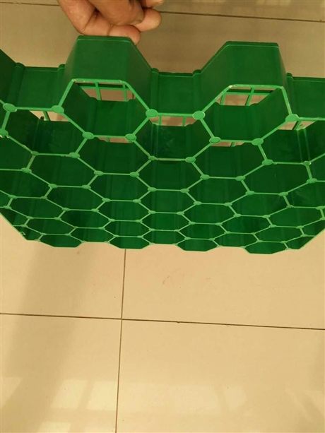 香港市塑料植草格价格