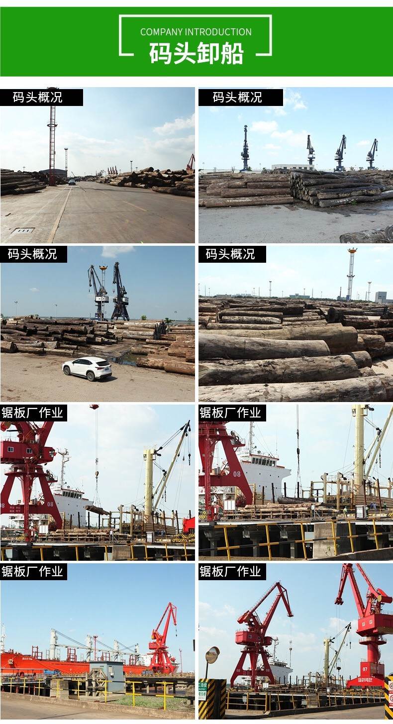 刚果红花梨 AL级 原木 非洲花梨 非洲红花梨