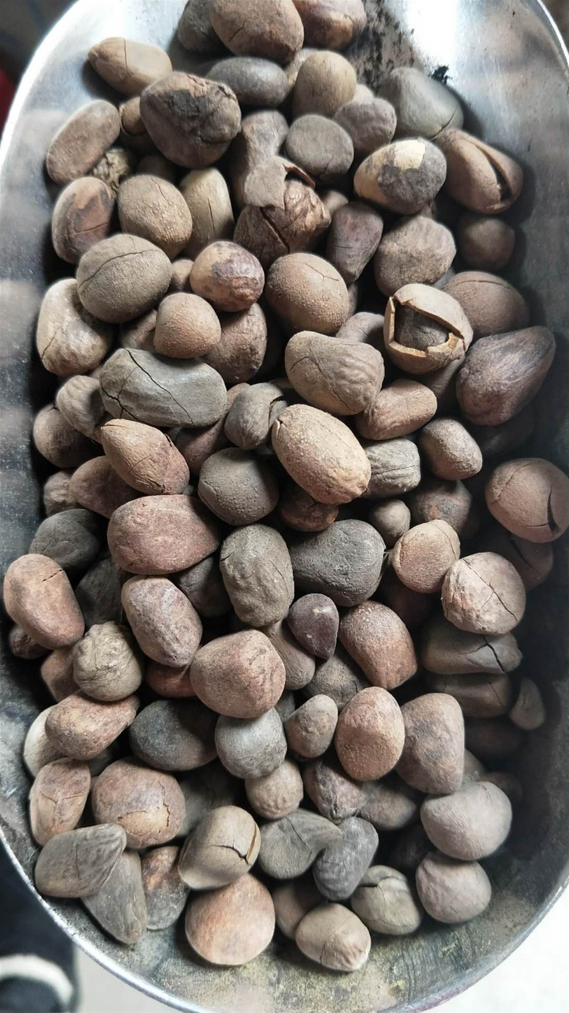 中国人寿保险股份有限公司2020年互联网运营项目采购公告