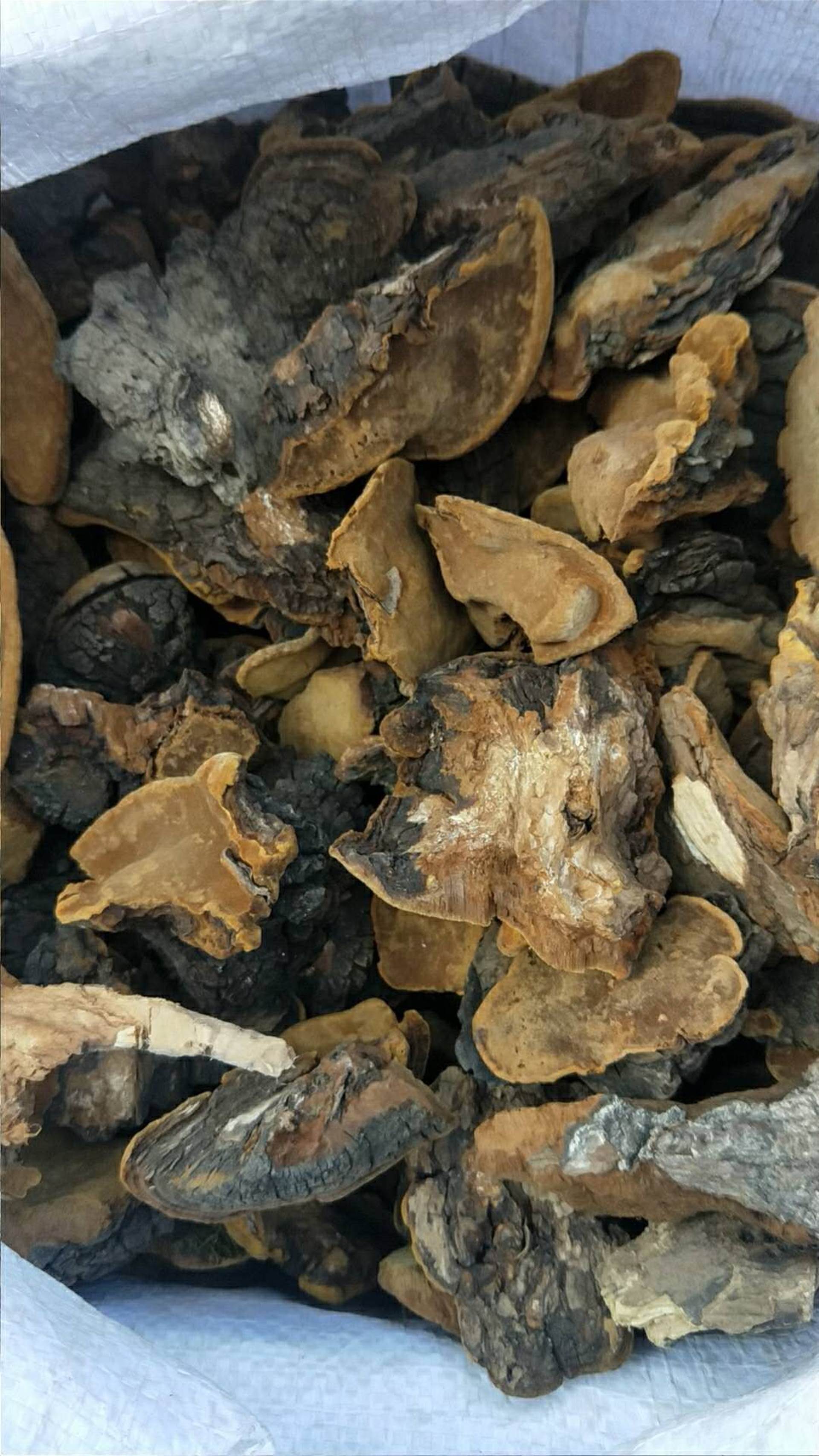 中药材批发补肾丸中药合成