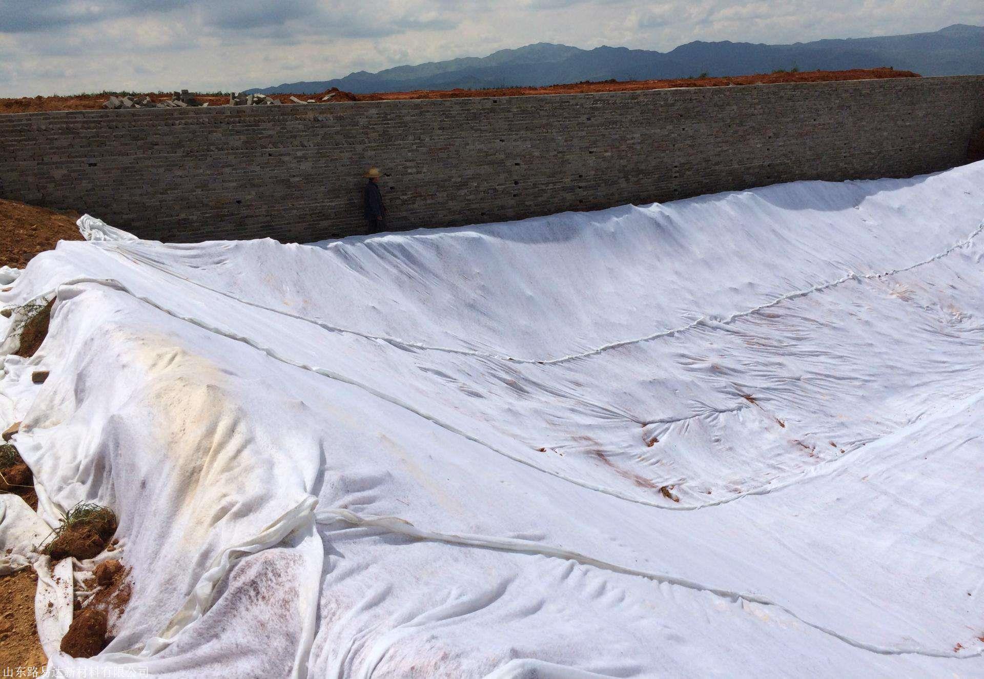 复合防渗土工膜 水库防渗膜 河道两布一膜 支持定做 免费拿样