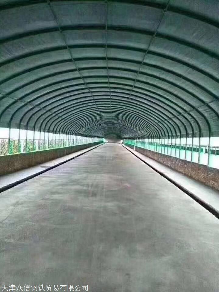 建造一个养鸡大棚造价 钢架一吨的价格