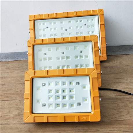LED防爆灯250瓦300w 加油站天棚照明灯 仓库厂房防爆投泛光灯路灯