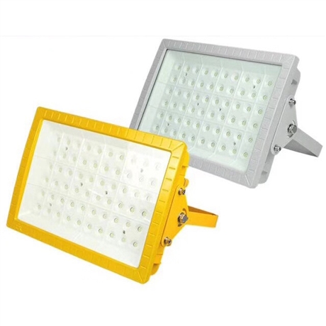 LED防爆灯 仓库煤矿钻井石化油田加油站灯led天棚灯 防爆应急灯