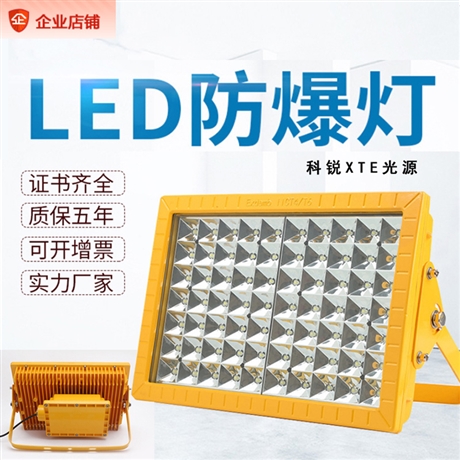 方形led防爆灯50w100w200w 加气站泛光灯 加油站应急顶棚灯具