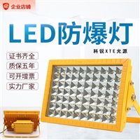 方形led防爆灯50w100w200w 加气站泛光灯 加油站应急顶棚灯具