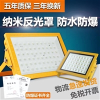 LED防爆灯 户外投射灯 车间工厂房照明灯 仓库灯加油站灯50W100W