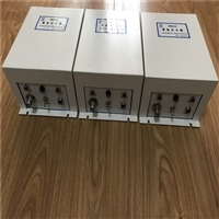 燃信热能定制 电石尾气放散高能点火器 燃气点火装置