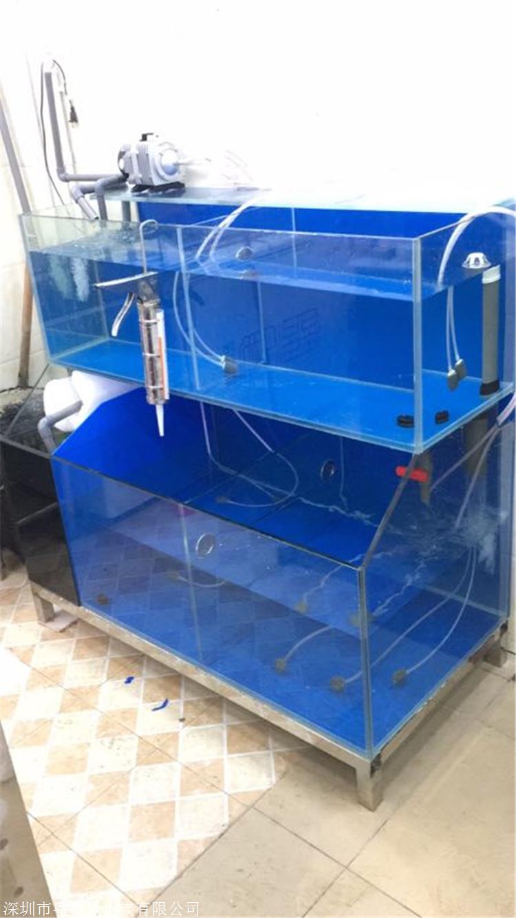 深圳松岗定制海池鱼缸