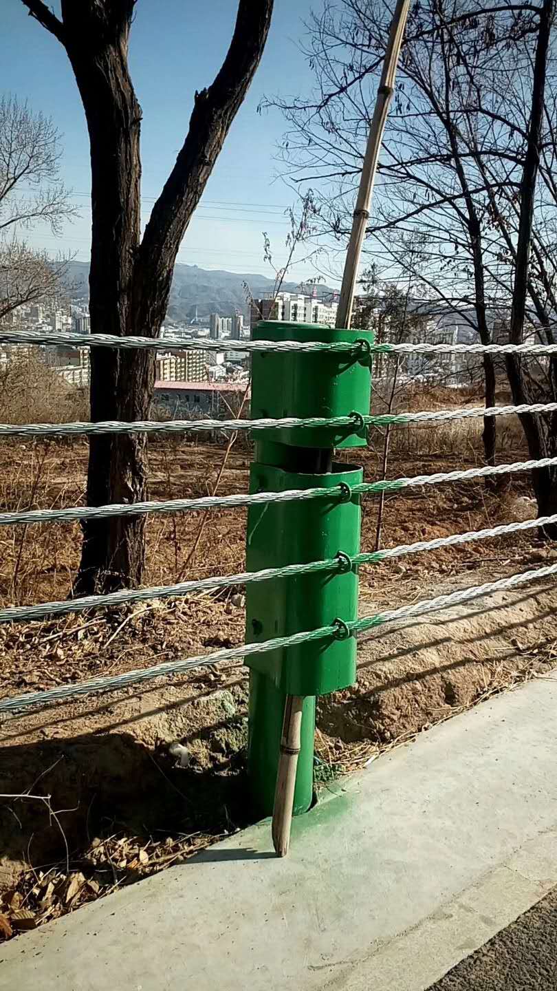 成帅边坡防护工程缆索护栏