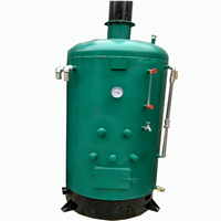 蘑菇菌袋卧式常压锅炉 食用菌灭菌锅炉 香菇平菇产蒸汽灭菌锅炉