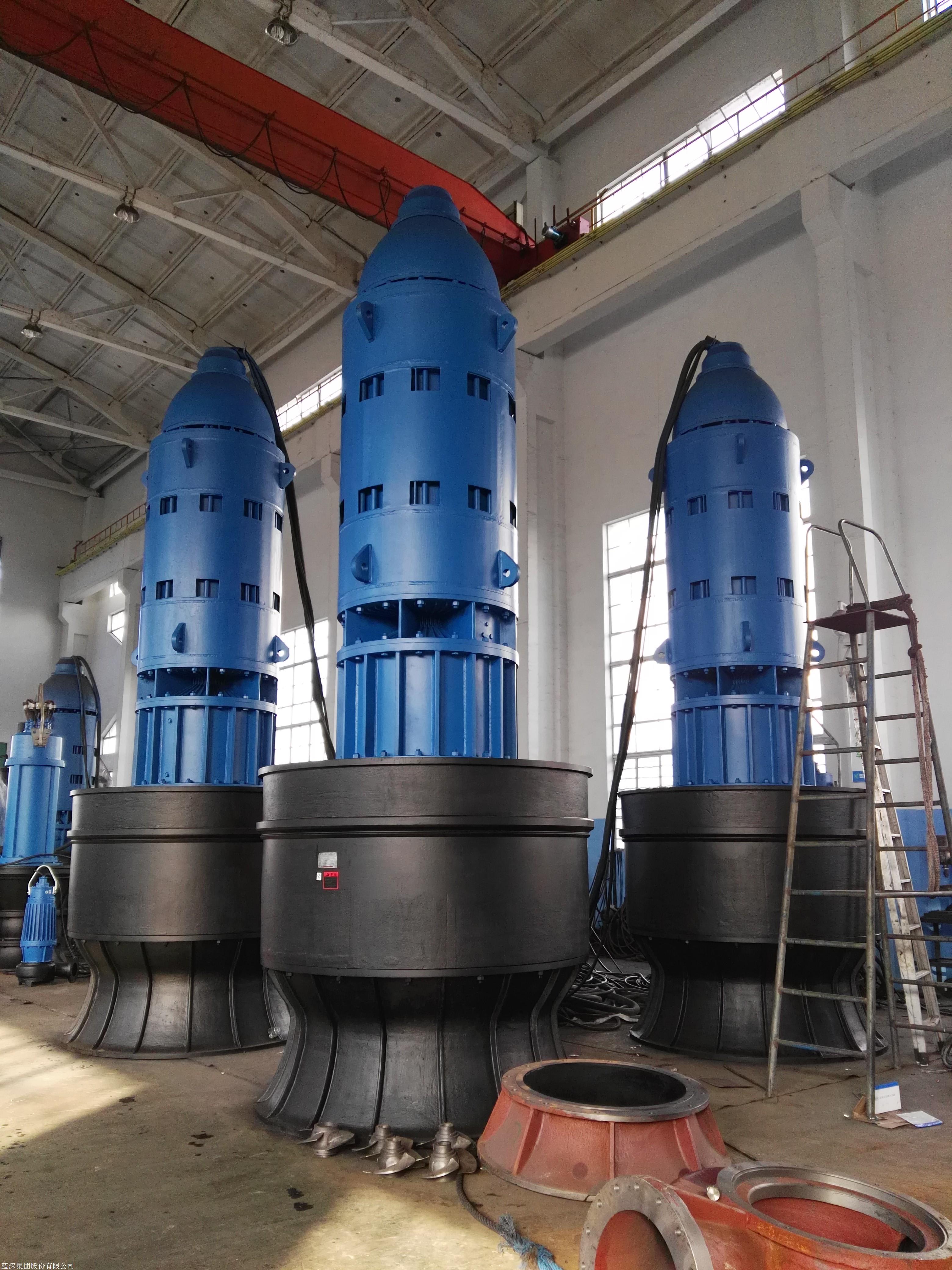 蓝深集团 潜水泵 潜水轴流泵 潜水混流泵 潜水大流量泵