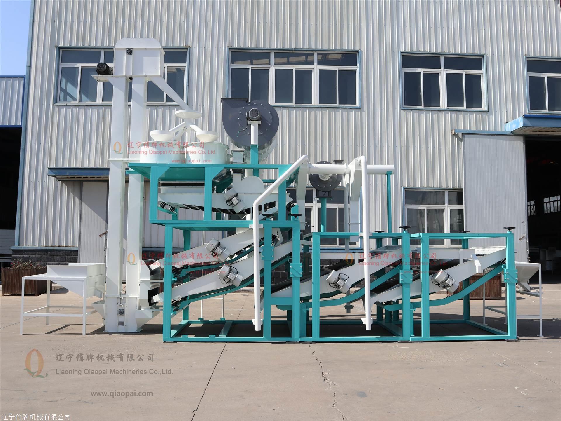 俏牌tfyx400型白果脱壳机银杏果脱壳分选机组