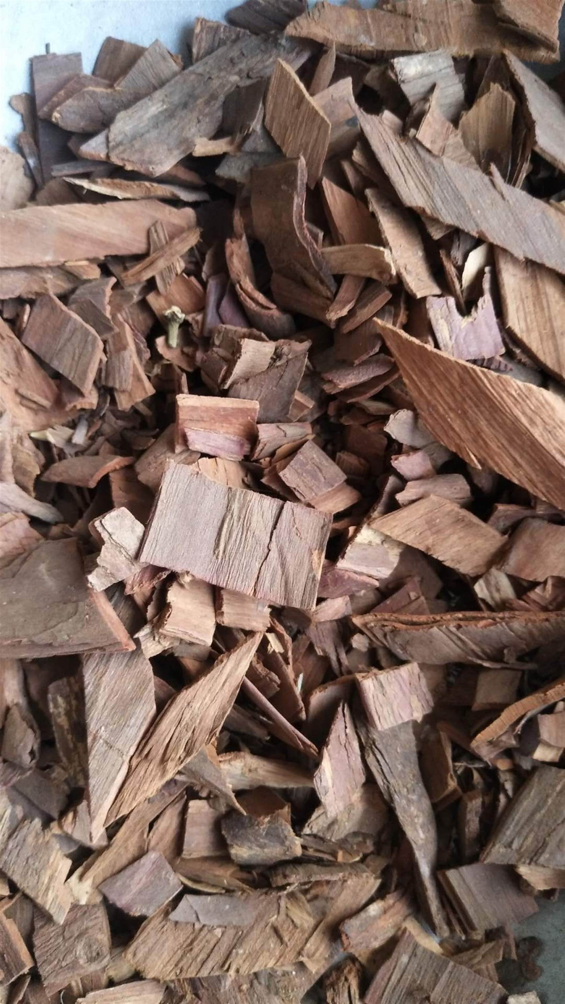 红豆杉皮大货供应红豆杉皮的药用价值