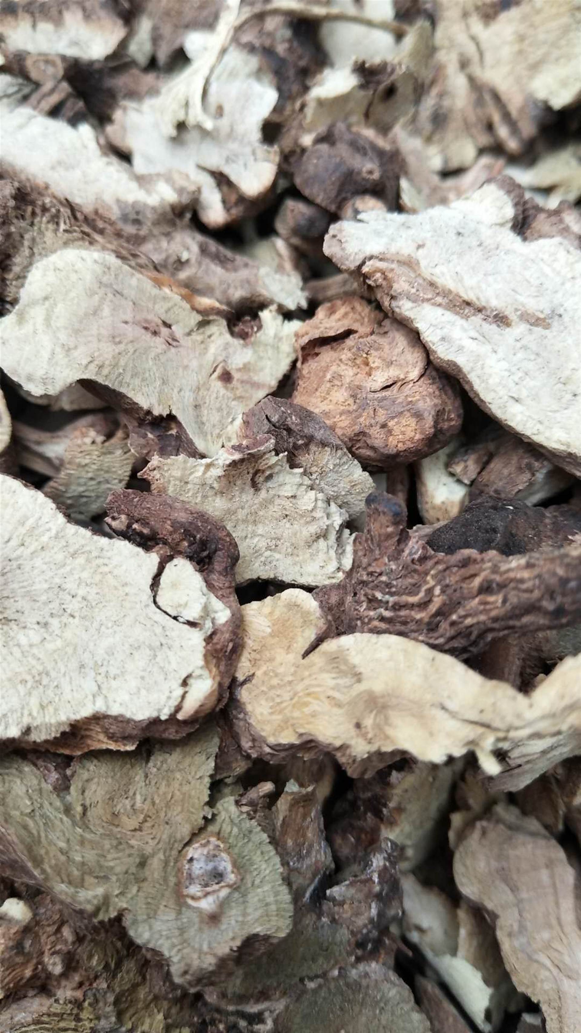 香茶菜根今日报价   香茶菜根的药用功效