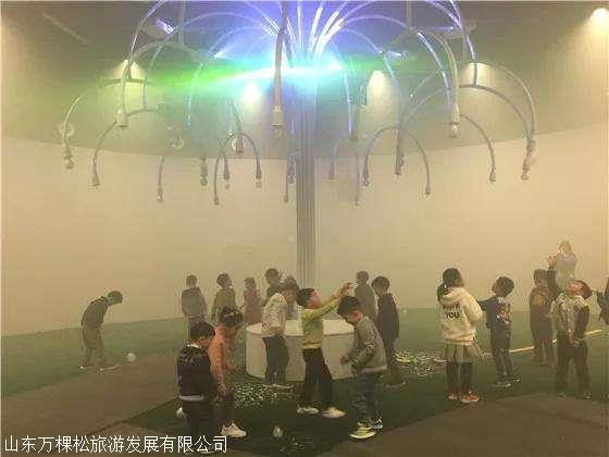 出售租赁掉泡泡的树夜游一手货源