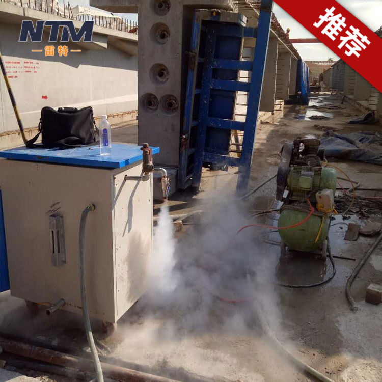 河南雷特 梁场蒸汽养护设备 小型立式蒸汽发生器