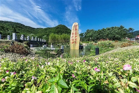 九龙山生态园图片