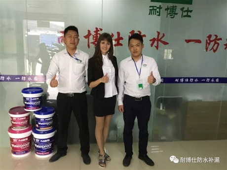 水泥混凝土表面增固劑