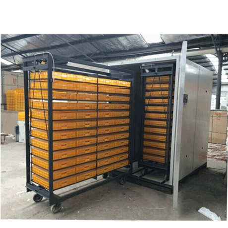 全自动孵化机大型鹅苗孵化机