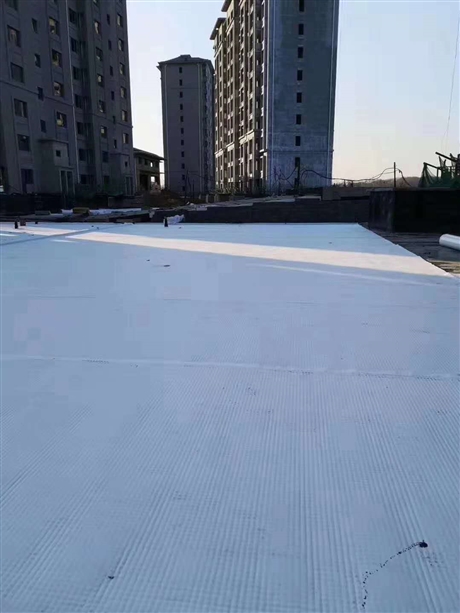 安徽虹吸排水板用途