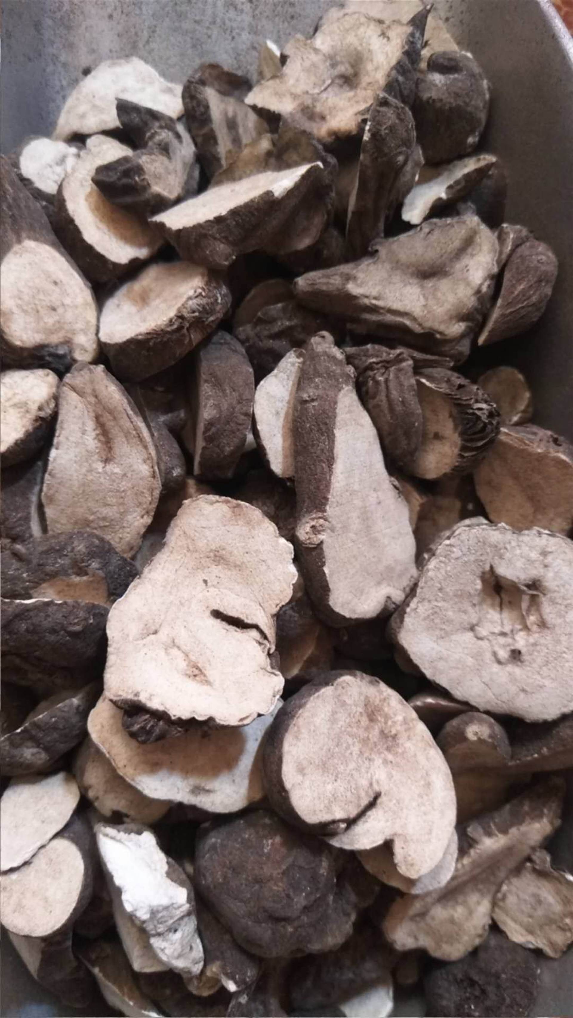 中药材批发蔸参   蔸参的功效