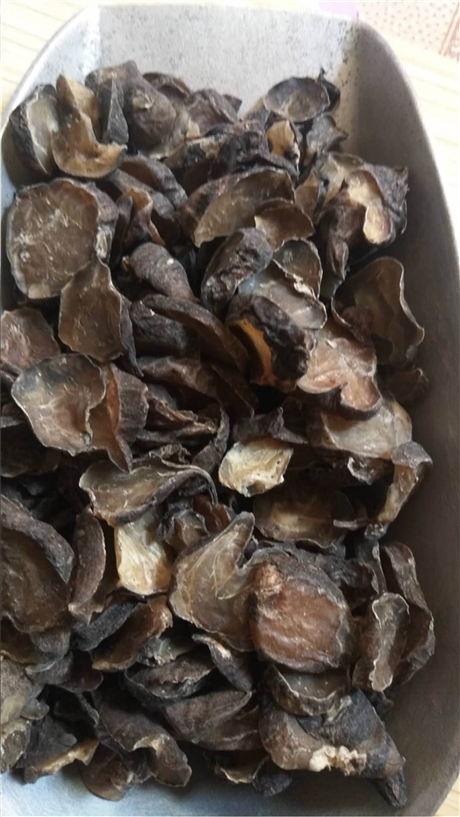 楤木根价格       楤木根的功效