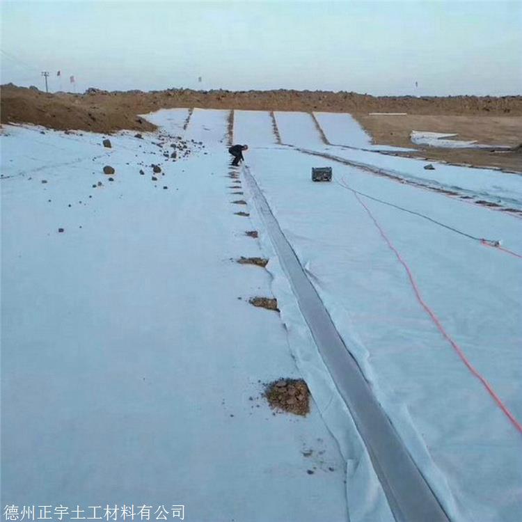 贵州300克防水土工布 正宇牌300g不透水土工布 两布一膜 防渗