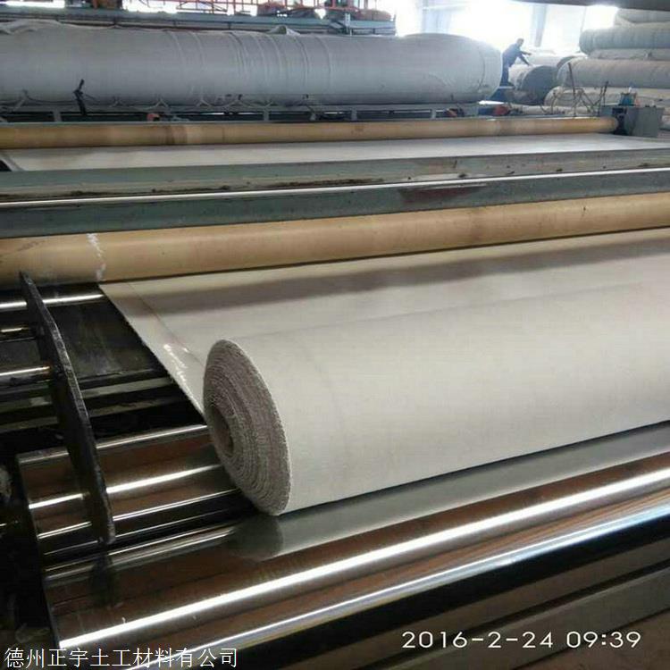 甘肃300克防水土工布 正宇牌300g不透水土工布 两布一膜 防水