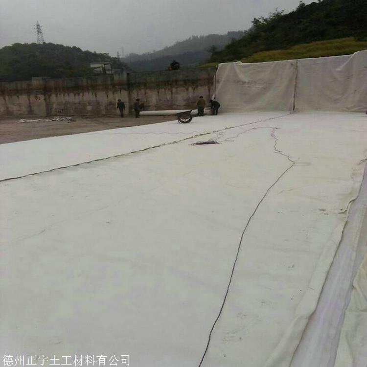 山西300克防水土工布 正宇牌300g不透水土工布 两布一膜 防水