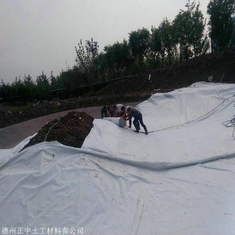 新疆300克防水土工布 正宇牌300g不透水土工布 两布一膜 防水