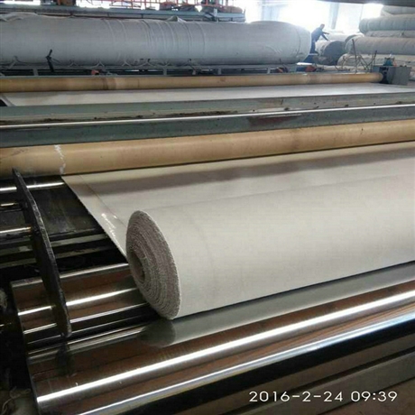 甘肃300克防水土工布 正宇牌300g不透水土工布 两布一膜 防水