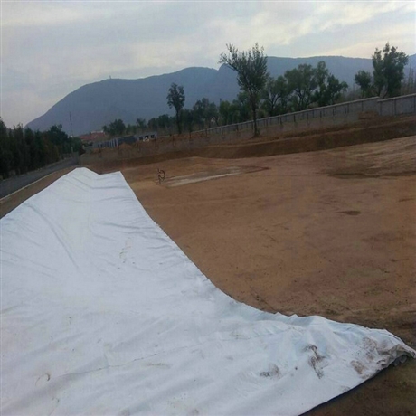 江西300克防水土工布 正宇牌300g不透水土工布 两布一膜 防渗