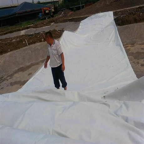 福建300克防水土工布 正宇牌300g不透水土工布 两布一膜 防渗