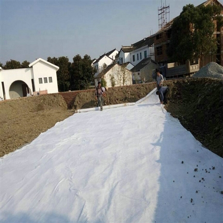 上海300克防水土工布 正宇牌300g不透水土工布 一布一膜 防渗