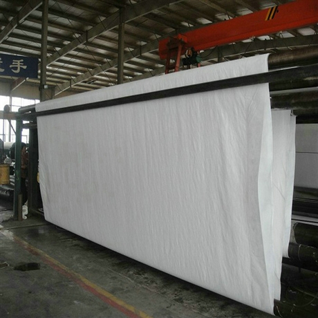 重庆300克防水土工布 正宇牌300g不透水土工布 两布一膜 防水