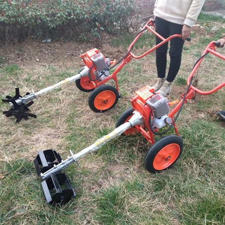 手推式多功能除草机 园林绿化小型汽油动力割草机