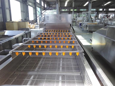 苹果水果摊凉线风干设备 水果清洗线