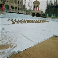 河南300克防水土工布 正宇牌300g不透水土工布 一布一膜 防渗