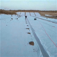 河南300克防水土工布 正宇牌300g不透水土工布 一布一膜 防水