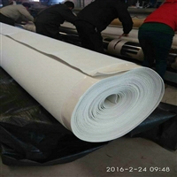 广东300克防水土工布 正宇牌300g不透水土工布 两布一膜 防水