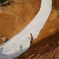 贵州300克防水土工布 正宇牌300g不透水土工布 两布一膜 防水