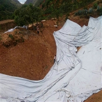 北京300克防水土工布 正宇牌300g不透水土工布 一布一膜 防渗