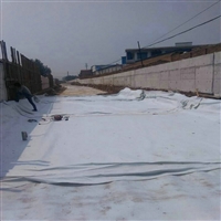 吉林300克防水土工布 正宇牌300g不透水土工布 两布一膜 防水