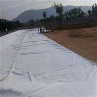 四川300克防水土工布 正宇牌300g不透水土工布 一布一膜 防渗